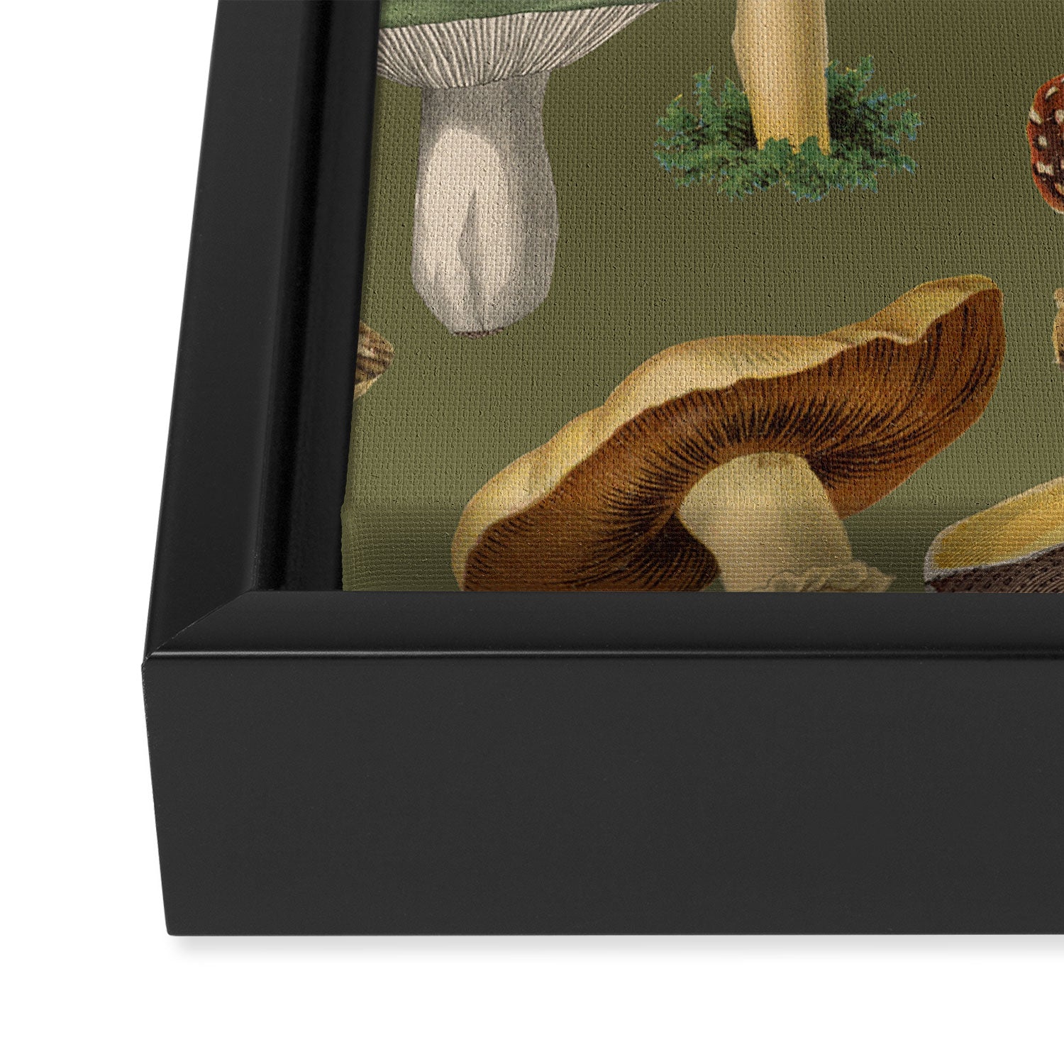 Forest Mushroom Goblincore Aesthetic Pattern - Lichen Green  Framed Canvas Print Gallery Image 3