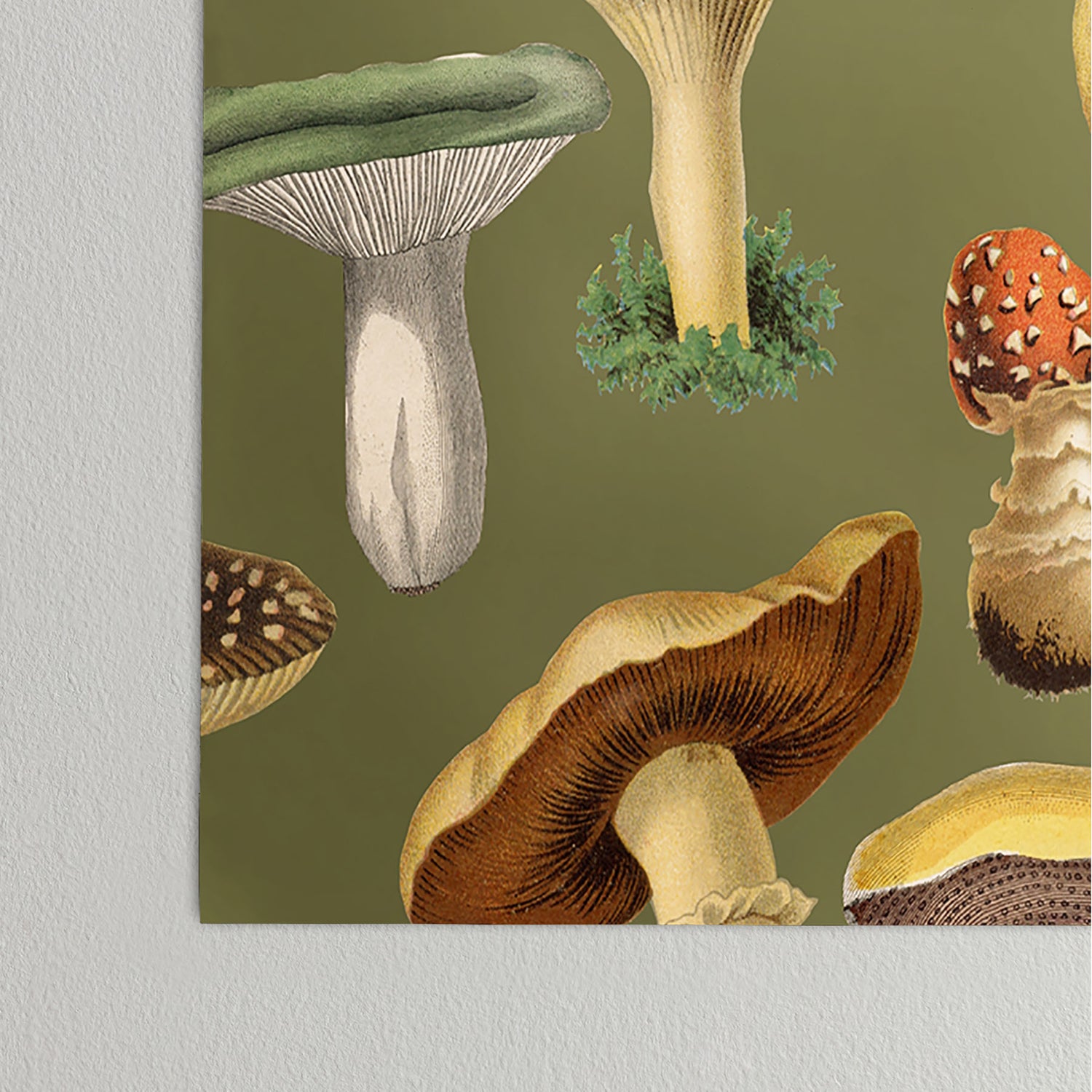Forest Mushroom Goblincore Aesthetic Pattern - Lichen Green  Poster Gallery Image 4
