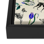 GREYHOUND DOGS and PRESSED FLOWERS Framed Canvas Print Gallery Image 3