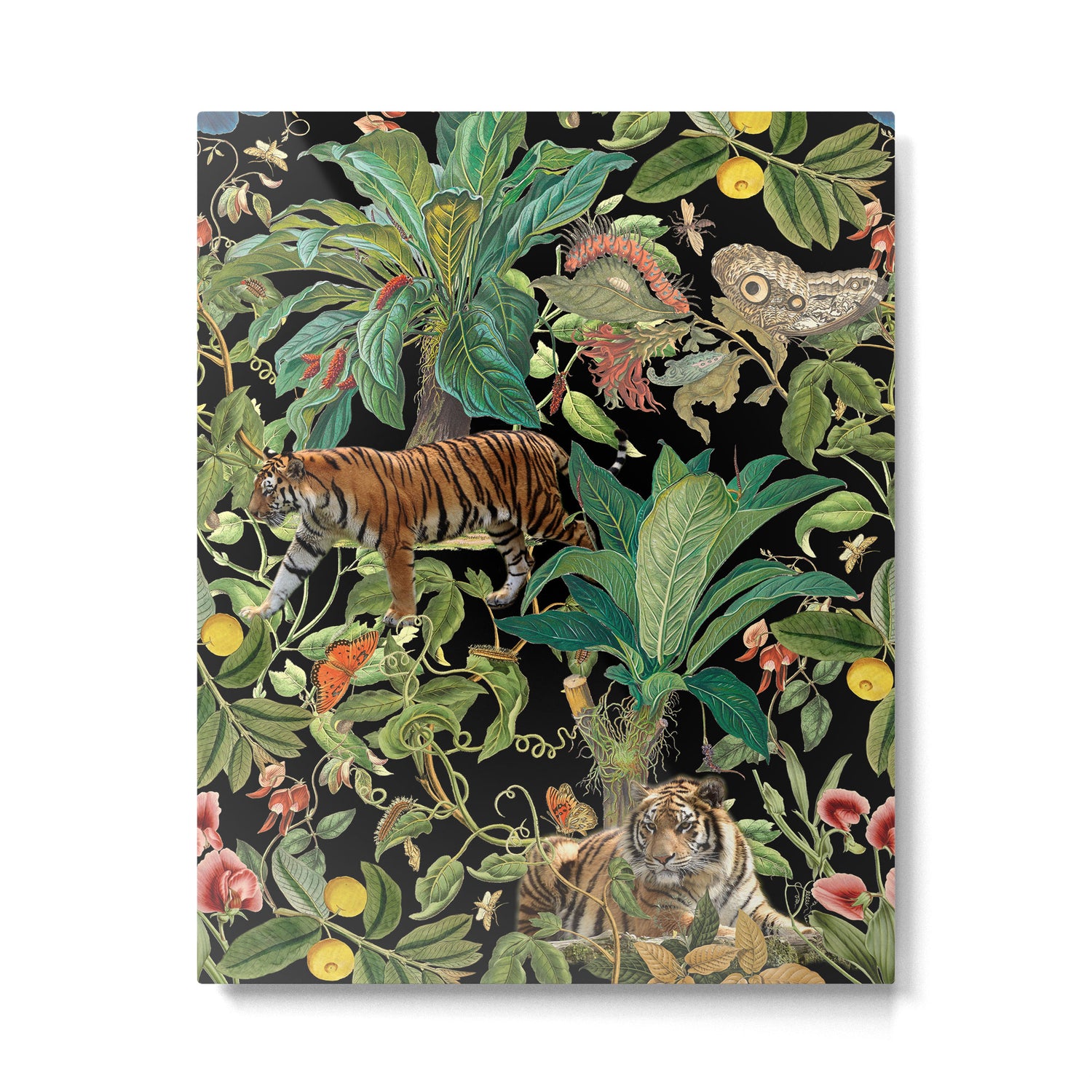 TIGER IN THE DARK JUNGLE Metal Print Gallery Image 4