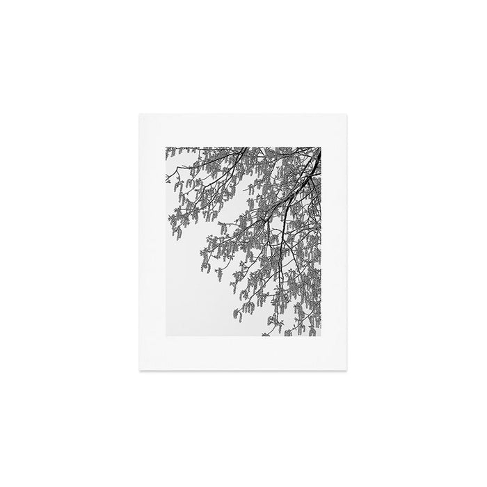 Wisteria Tree Art Print - Black and White Nature Photography Art Print Gallery Image 1