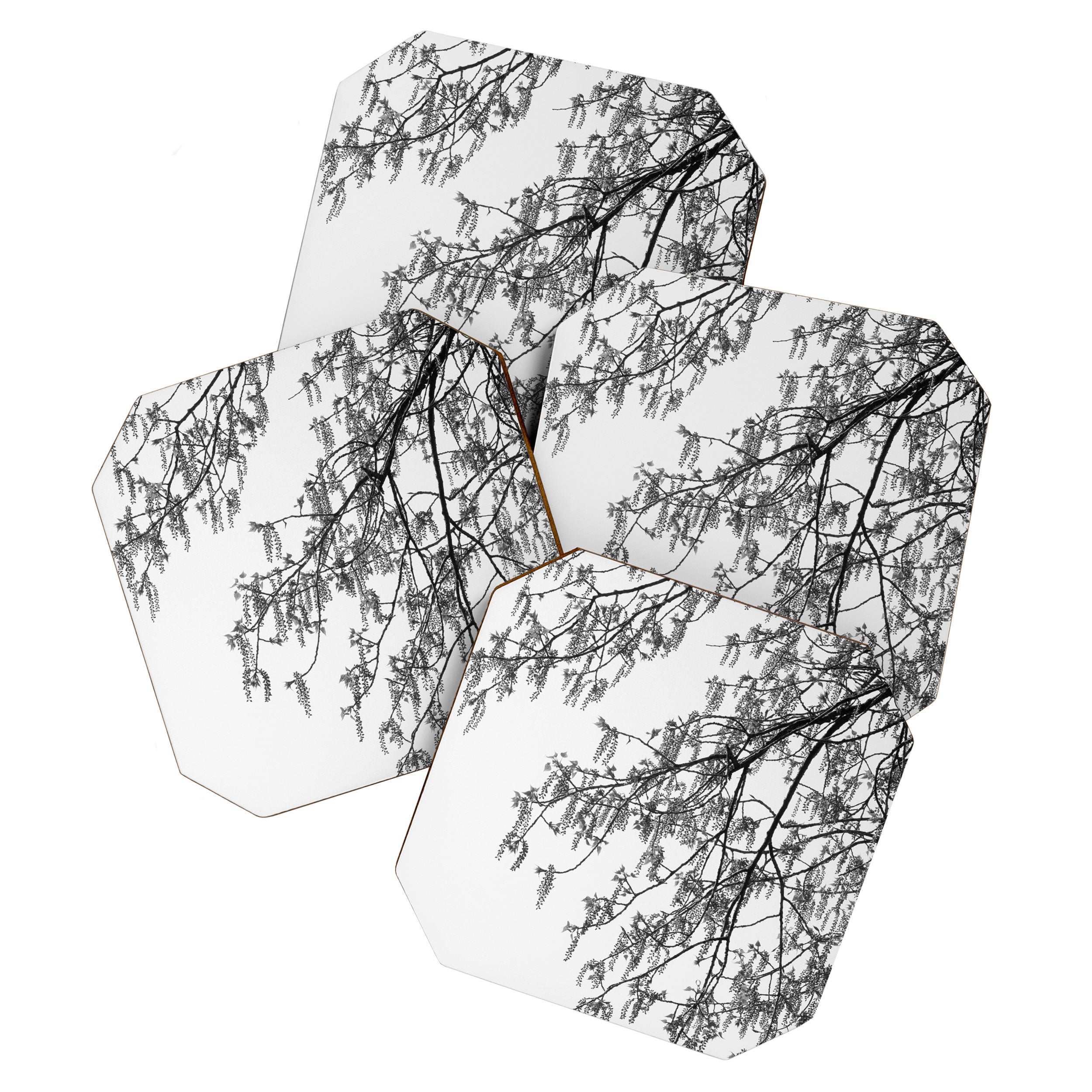 Wisteria Tree Art Print - Black and White Nature Photography Coaster Gallery Image 1