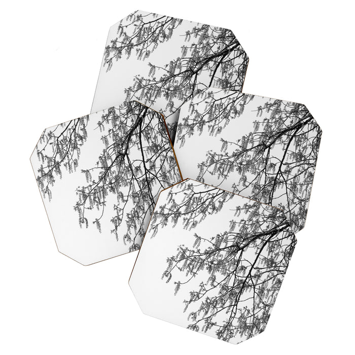 Wisteria Tree Art Print - Black and White Nature Photography Coaster Gallery Image 1