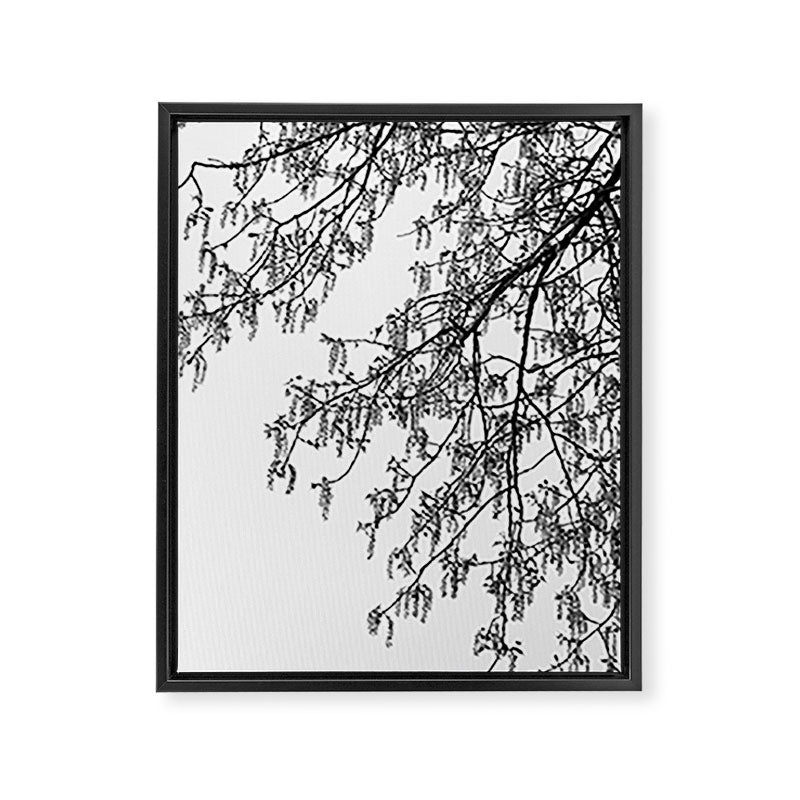 Wisteria Tree Art Print - Black and White Nature Photography Framed Canvas Print Gallery Image 6