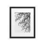Wisteria Tree Art Print - Black and White Nature Photography Framed Art Print Gallery Image 5