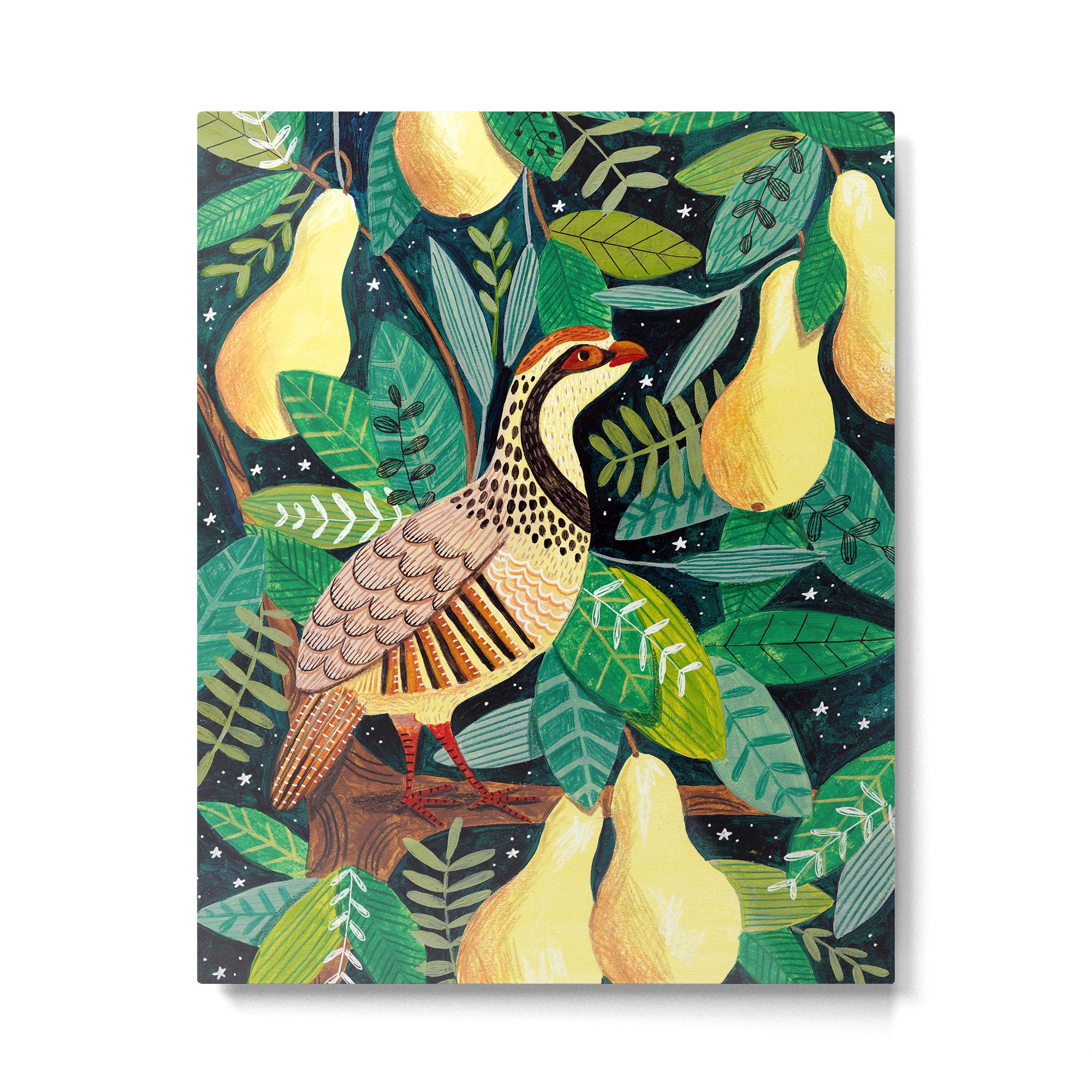 Partridge in a pear tree Metal Print Gallery Image 4