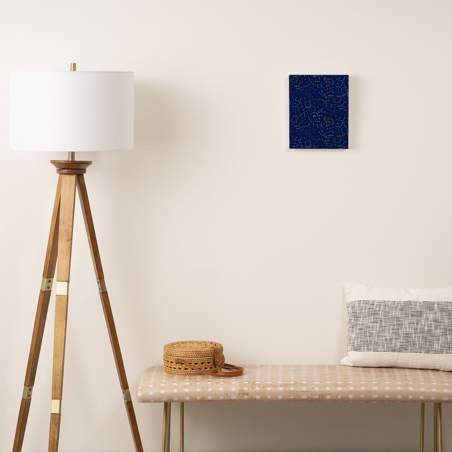 Constellations Canvas Print Gallery Image 2