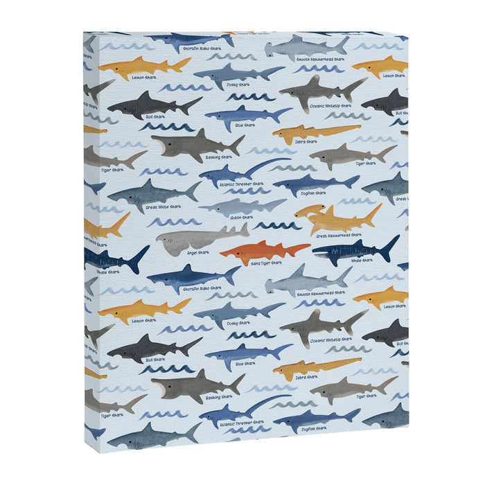 Shark Species Identification Chart Canvas Print Gallery Image 1