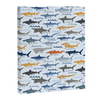 Shark Species Identification Chart Canvas Print Gallery Image 8