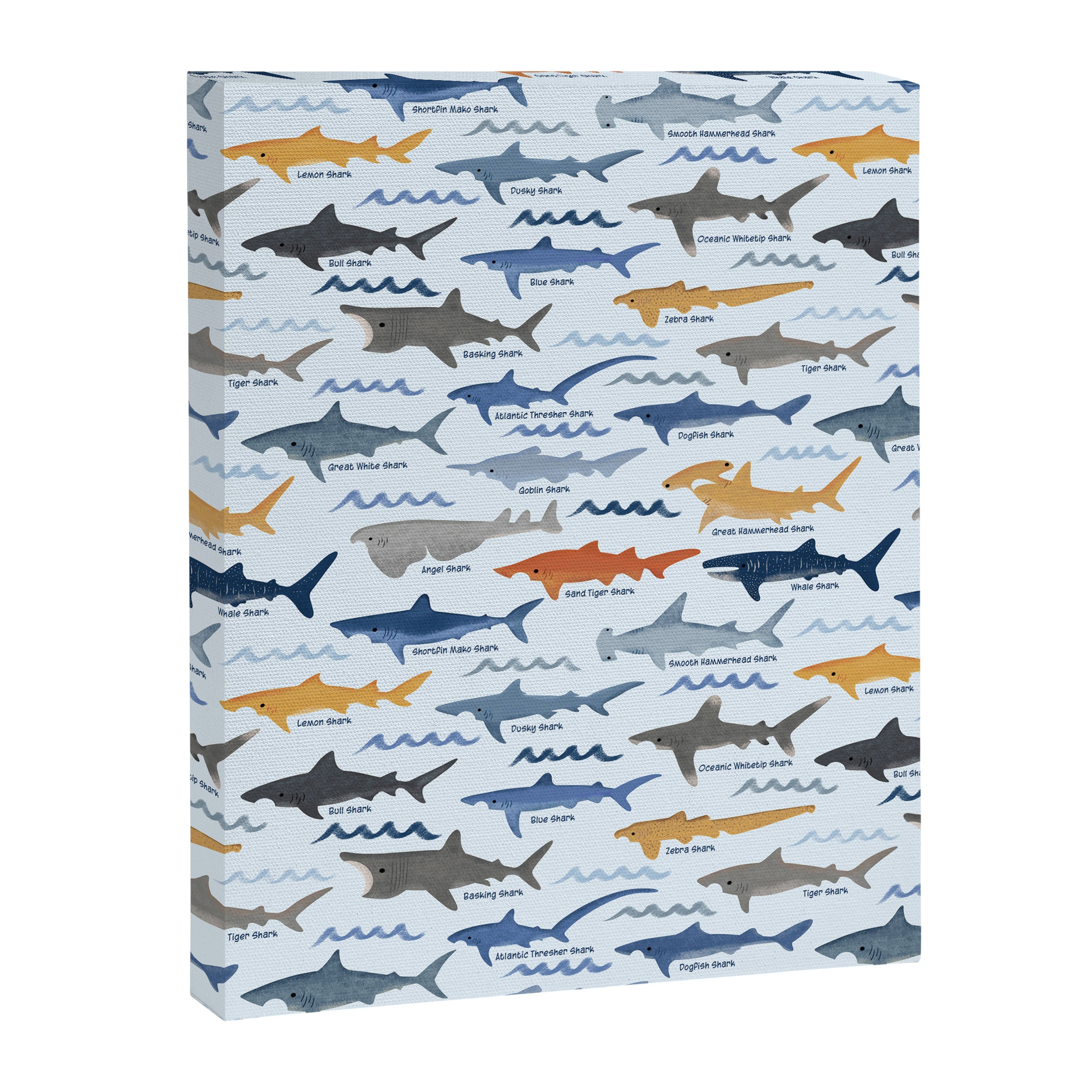 Shark Species Identification Chart Canvas Print Gallery Image 8