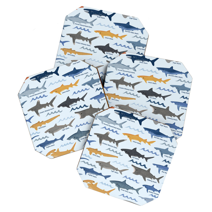 Shark Species Identification Chart Coaster Gallery Image 1