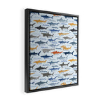 Shark Species Identification Chart Framed Canvas Print Gallery Image 2