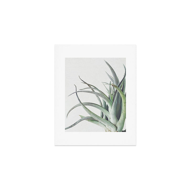 Air Plant II Art Print Gallery Image 1