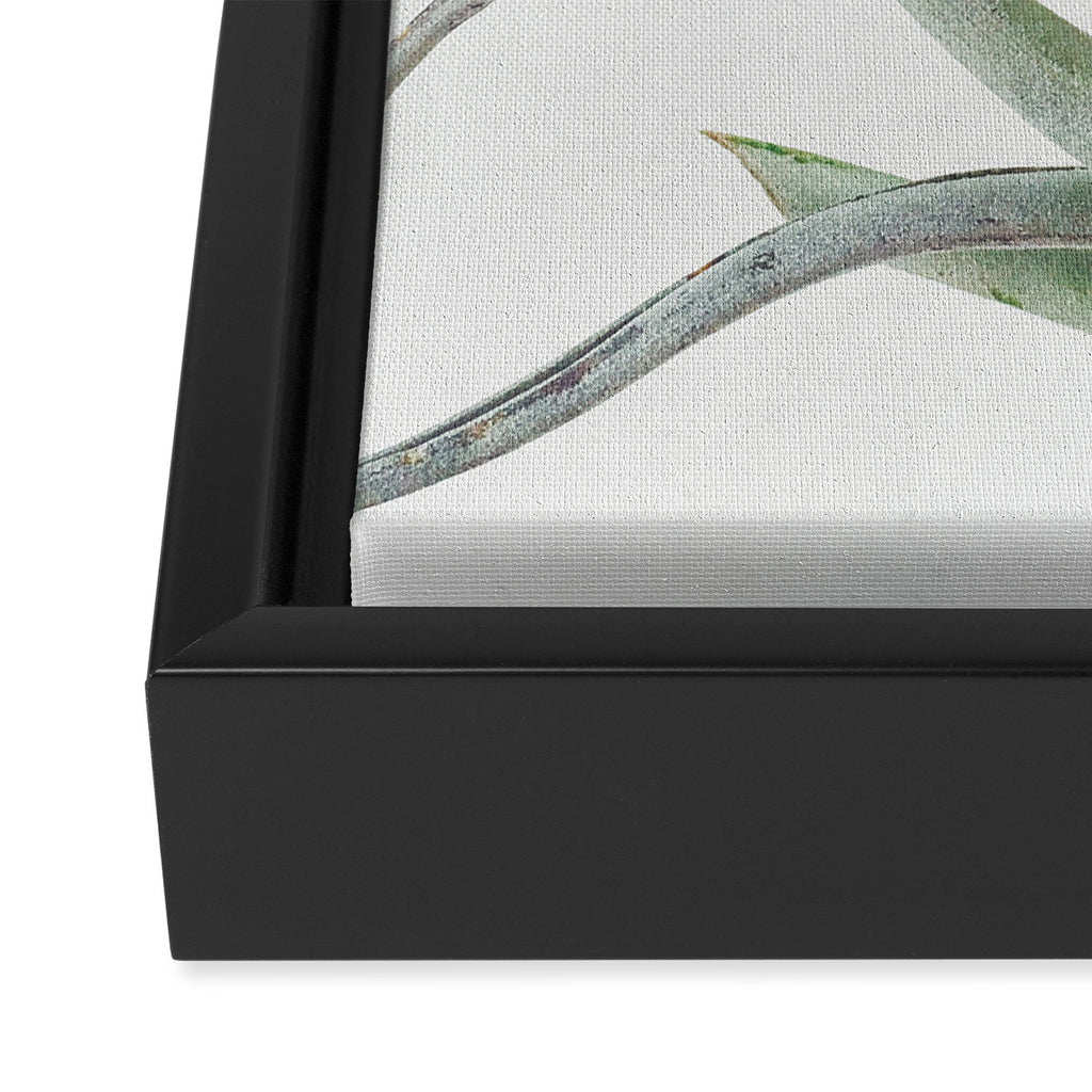 Air Plant II Framed Canvas Print Gallery Image 3