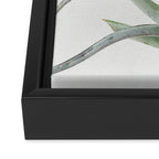 Air Plant II Framed Canvas Print Gallery Image 3