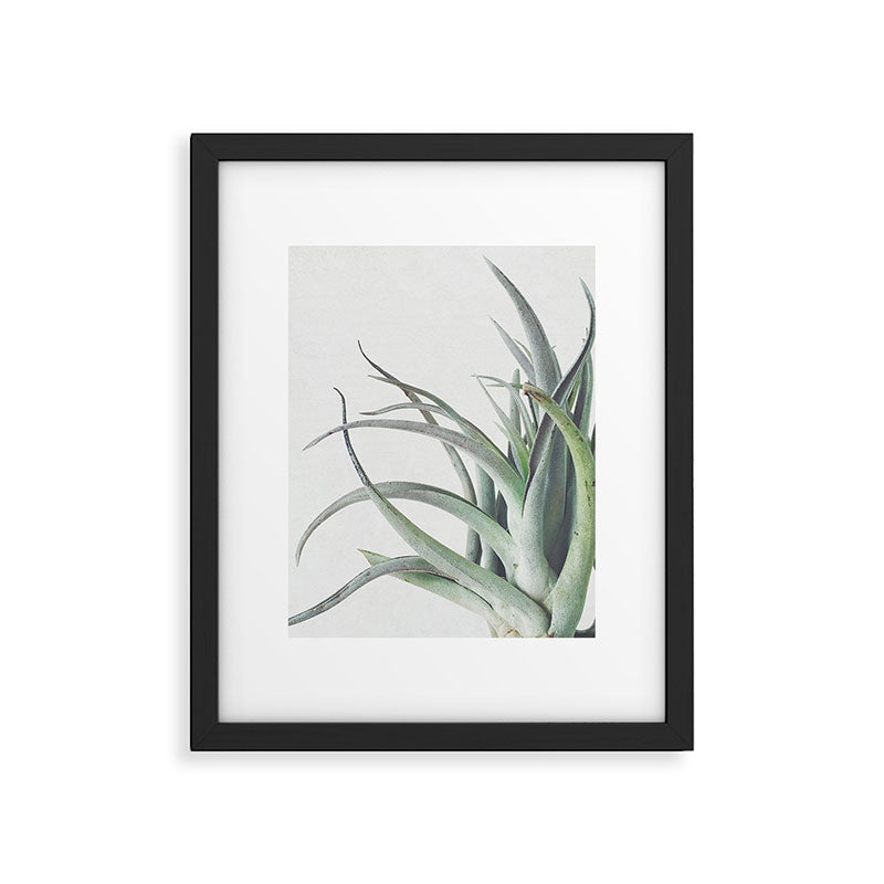 Air Plant II Framed Art Print Gallery Image 6