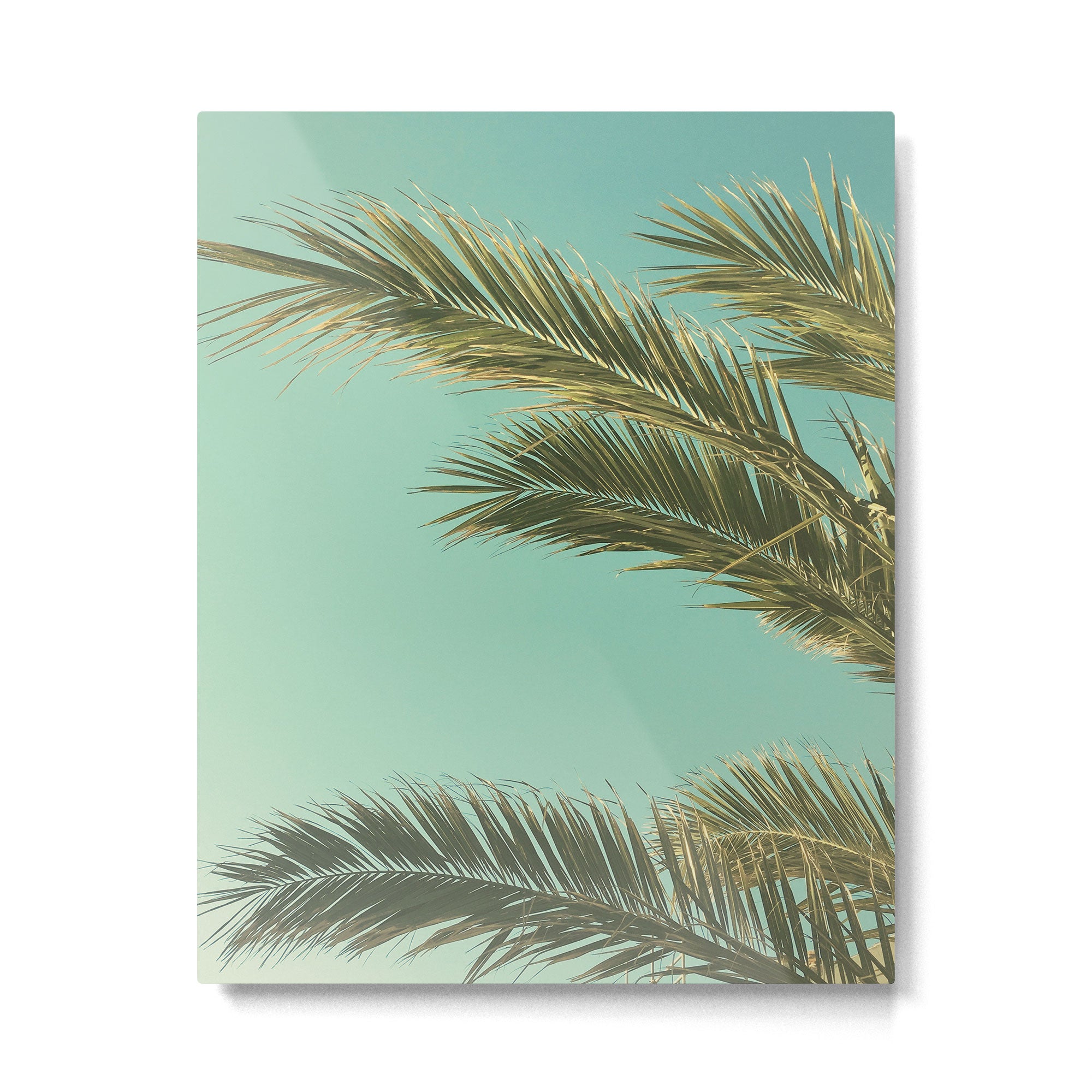 Autumn Palms II Metal Print Gallery Image 6