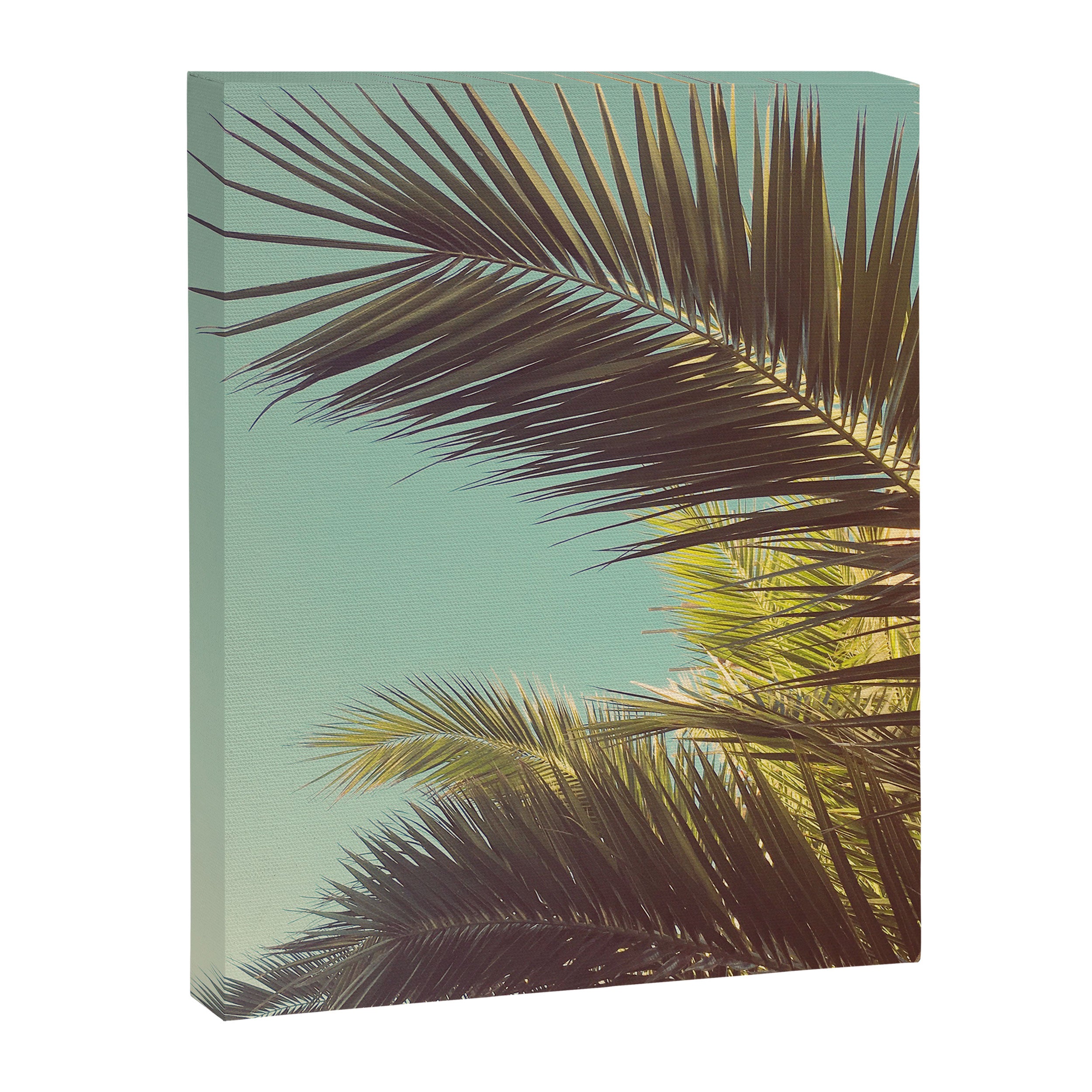 Autumn Palms Canvas Print Gallery Image 8