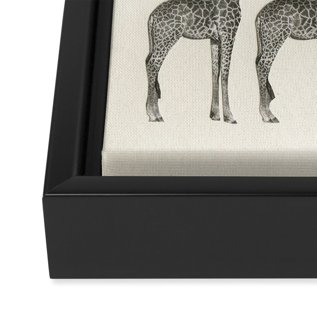 Balancing Act Framed Canvas Print Gallery Image 3