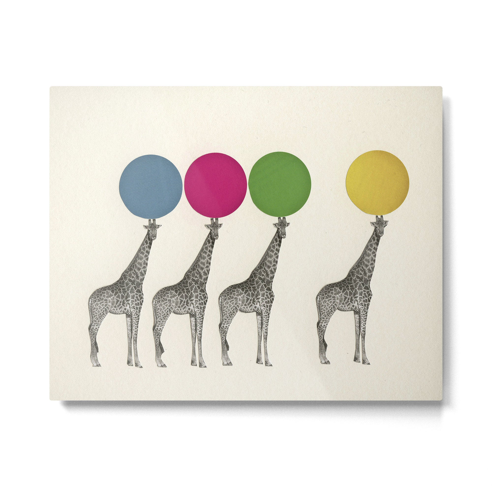 Balancing Act Metal Print Gallery Image 4