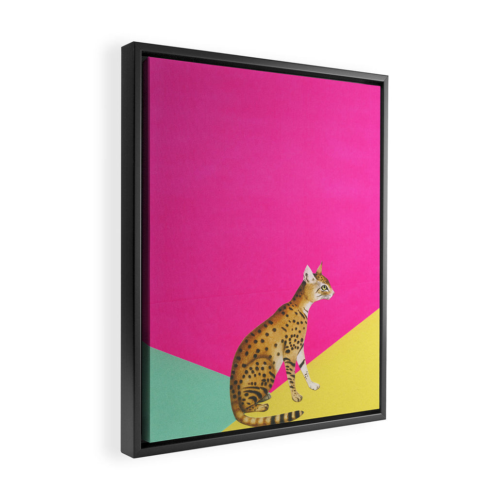 Big Cat Framed Canvas Print Gallery Image 2
