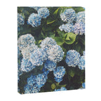 Blue Hydrangea Canvas Print Gallery Image 6