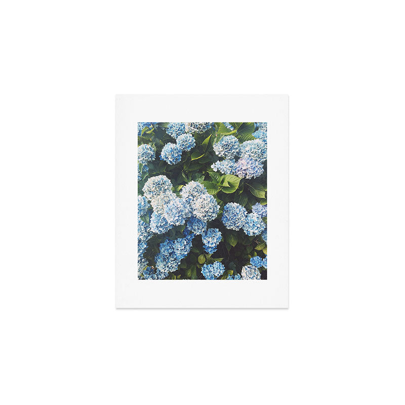 Blue Hydrangea Art Print Gallery Image 1