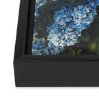 Blue Hydrangea Framed Canvas Print Gallery Image 3