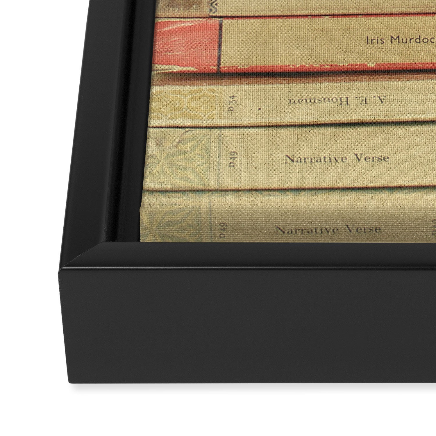 Books Framed Canvas Print Gallery Image 3