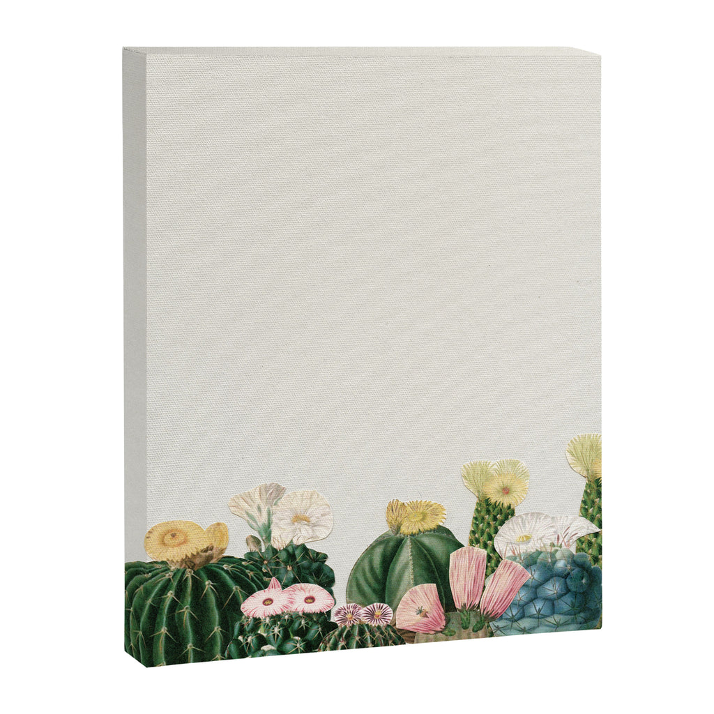 Cactus Garden Canvas Print Gallery Image 6