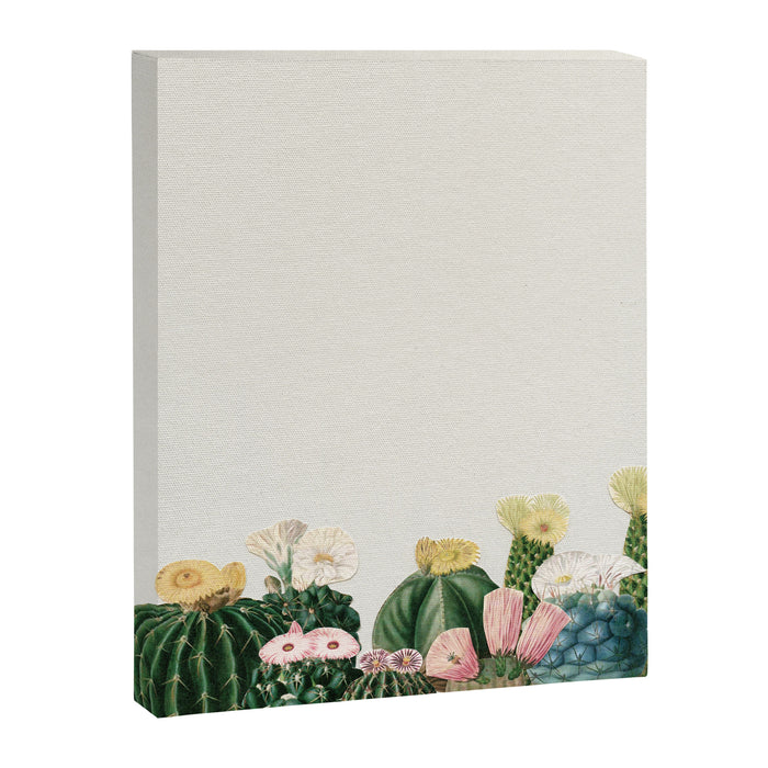Cactus Garden Canvas Print Gallery Image 1