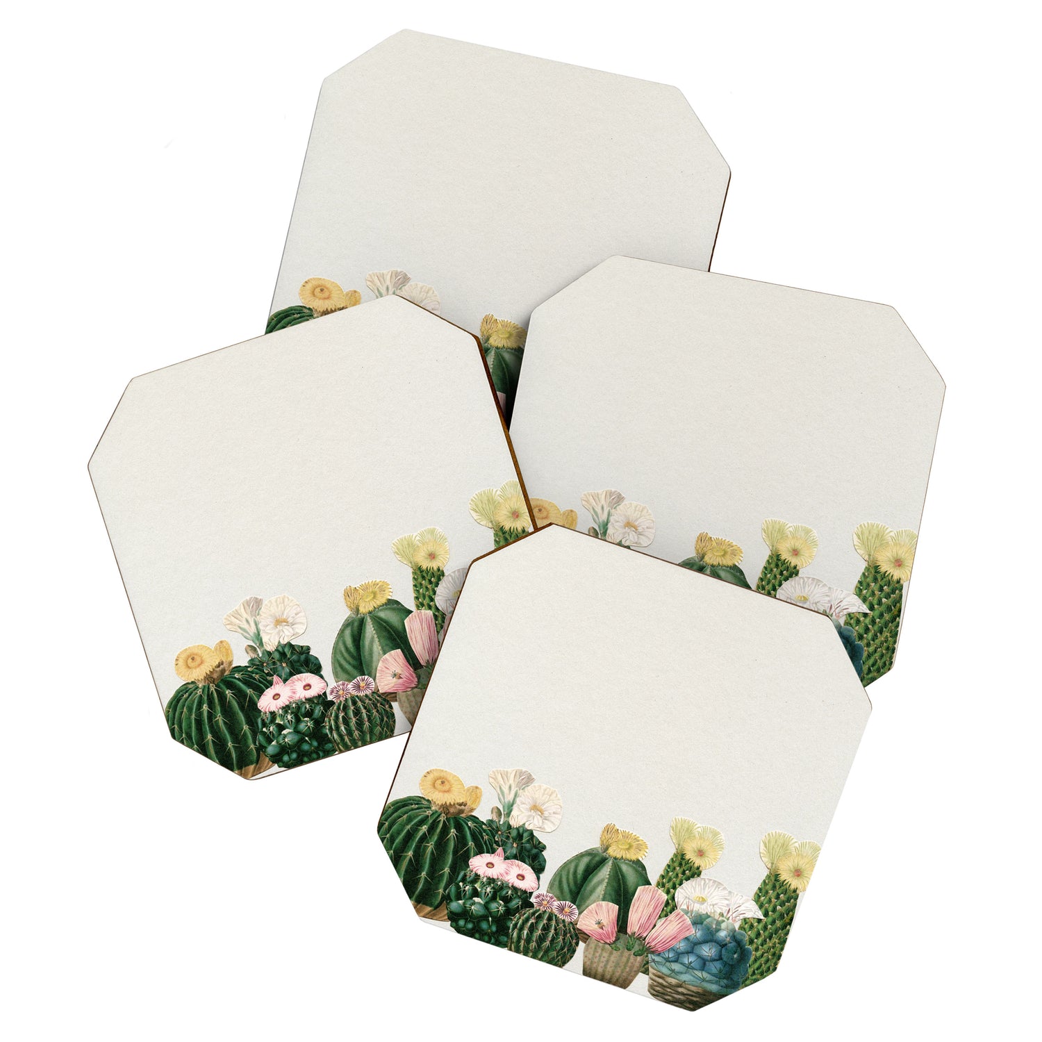 Cactus Garden Coaster Gallery Image 1