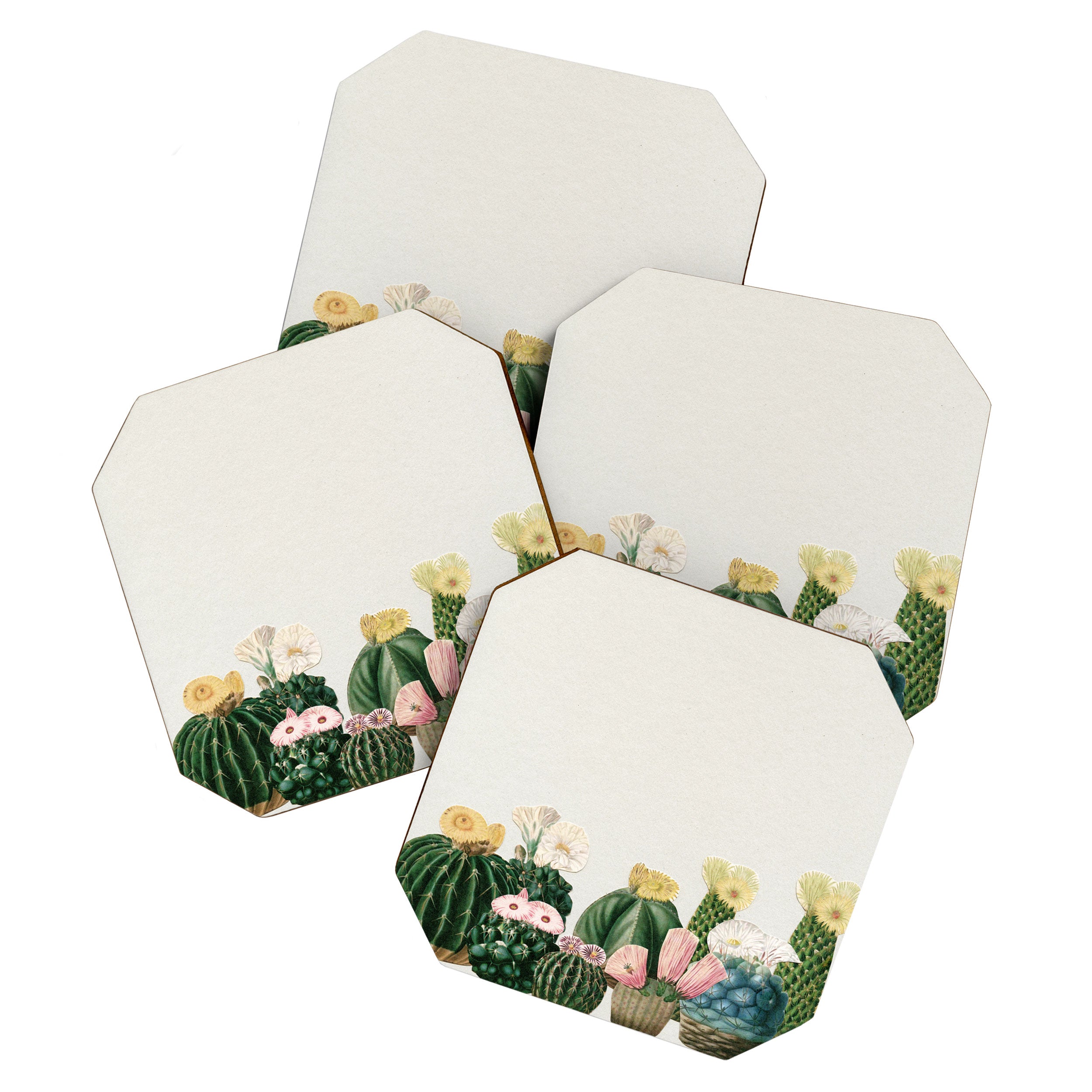 Cactus Garden Coaster Gallery Image 1