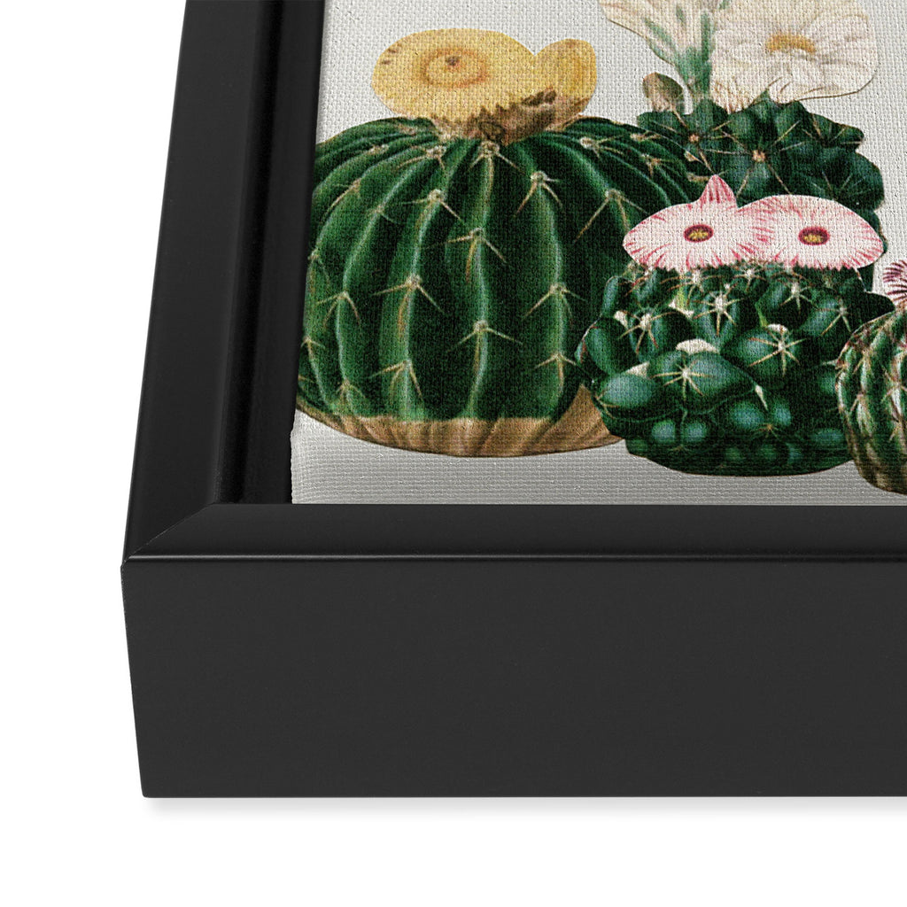 Cactus Garden Framed Canvas Print Gallery Image 3