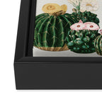 Cactus Garden Framed Canvas Print Gallery Image 3