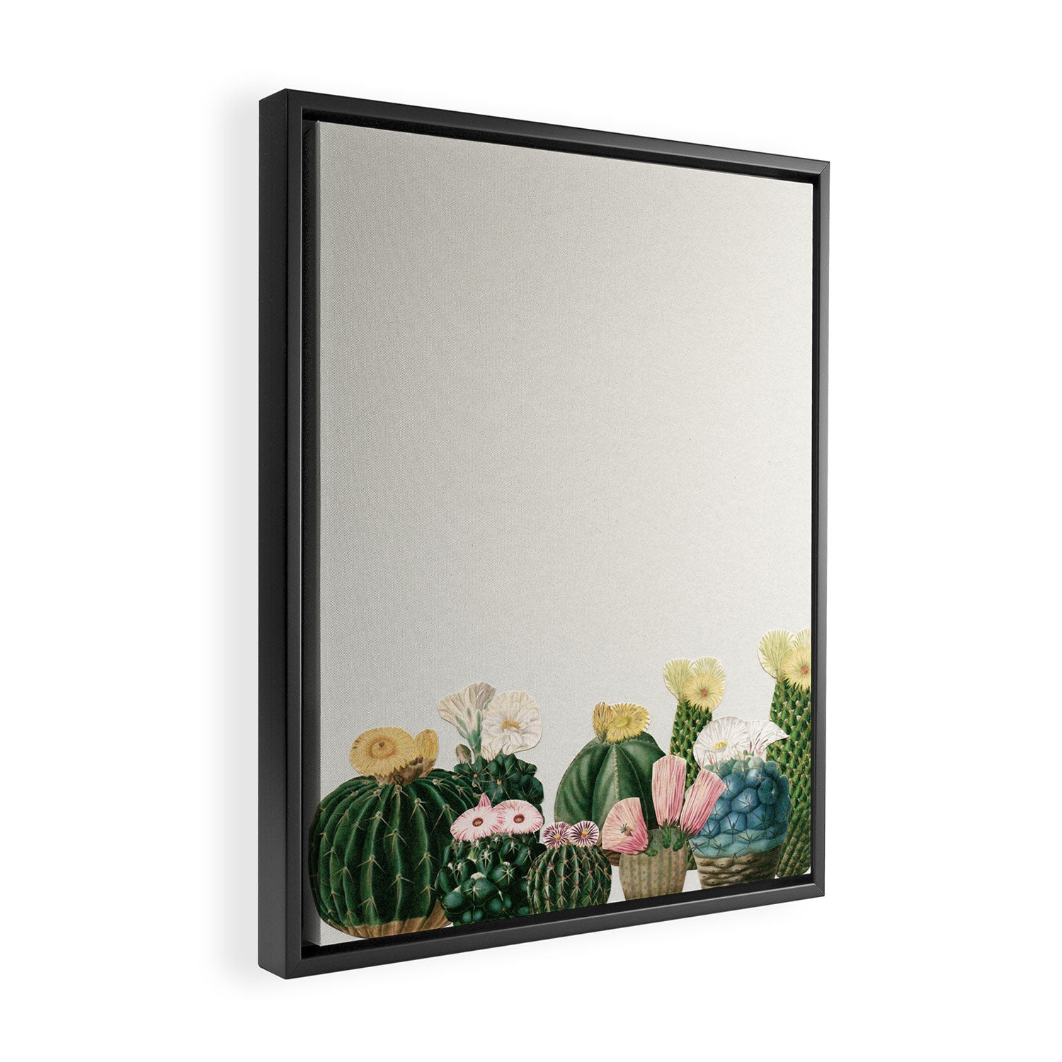 Cactus Garden Framed Canvas Print Gallery Image 2
