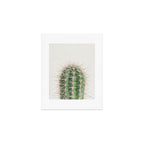 Cactus Art Print Gallery Image 1