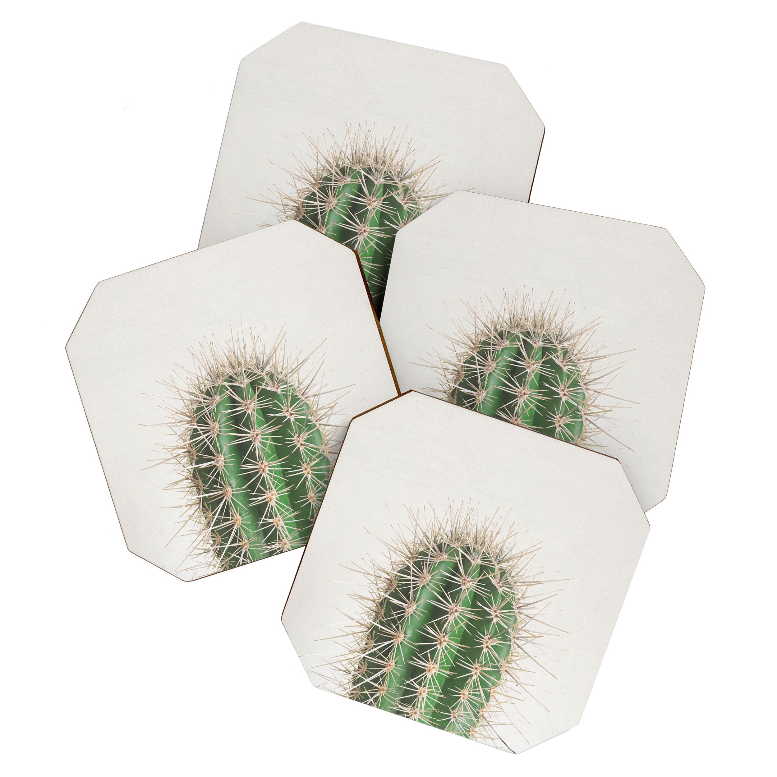 Cactus Coaster Gallery Image 1