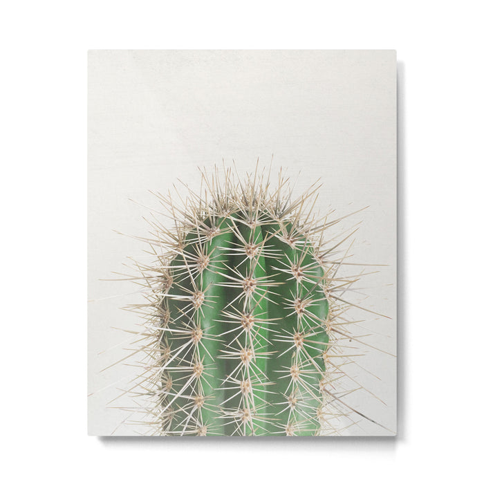 Cactus Metal Print Gallery Image 1