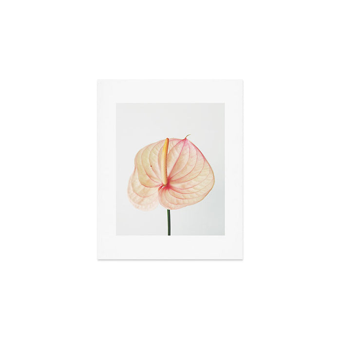Calla Lily II Art Print Gallery Image 1