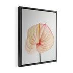 Calla Lily II Framed Canvas Print Gallery Image 2