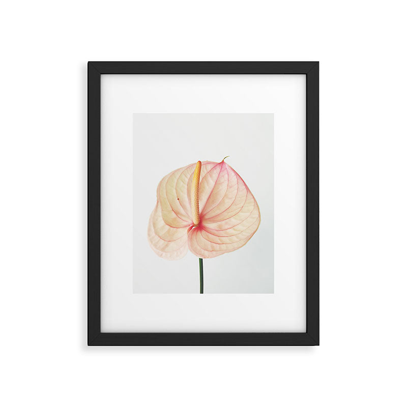 Calla Lily II Framed Art Print Gallery Image 6