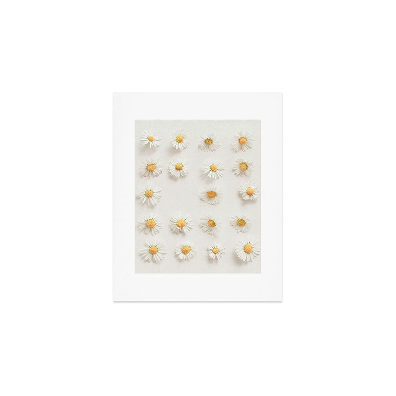 Daisy Collection Art Print Gallery Image 1