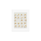 Daisy Collection Art Print Gallery Image 1