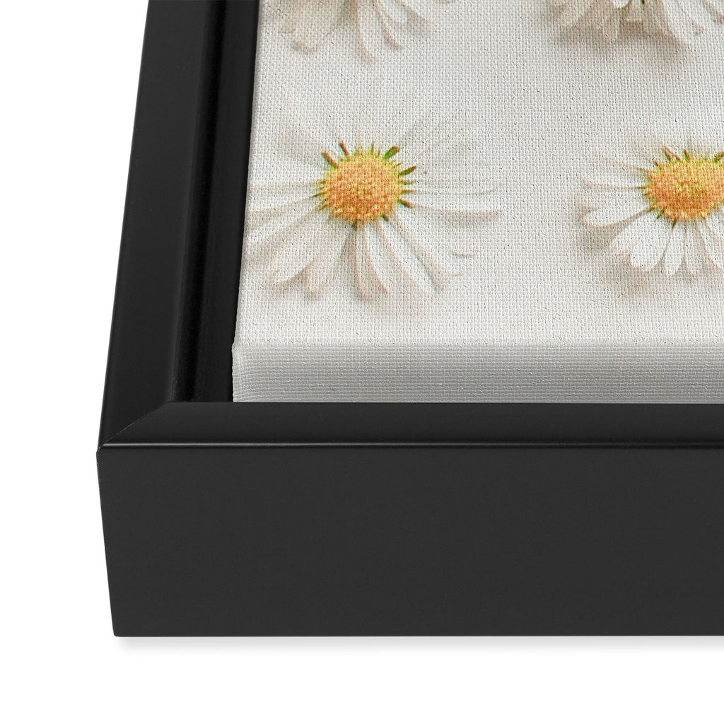 Daisy Collection Framed Canvas Print Gallery Image 3