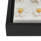 Daisy Collection Framed Canvas Print Gallery Image 3