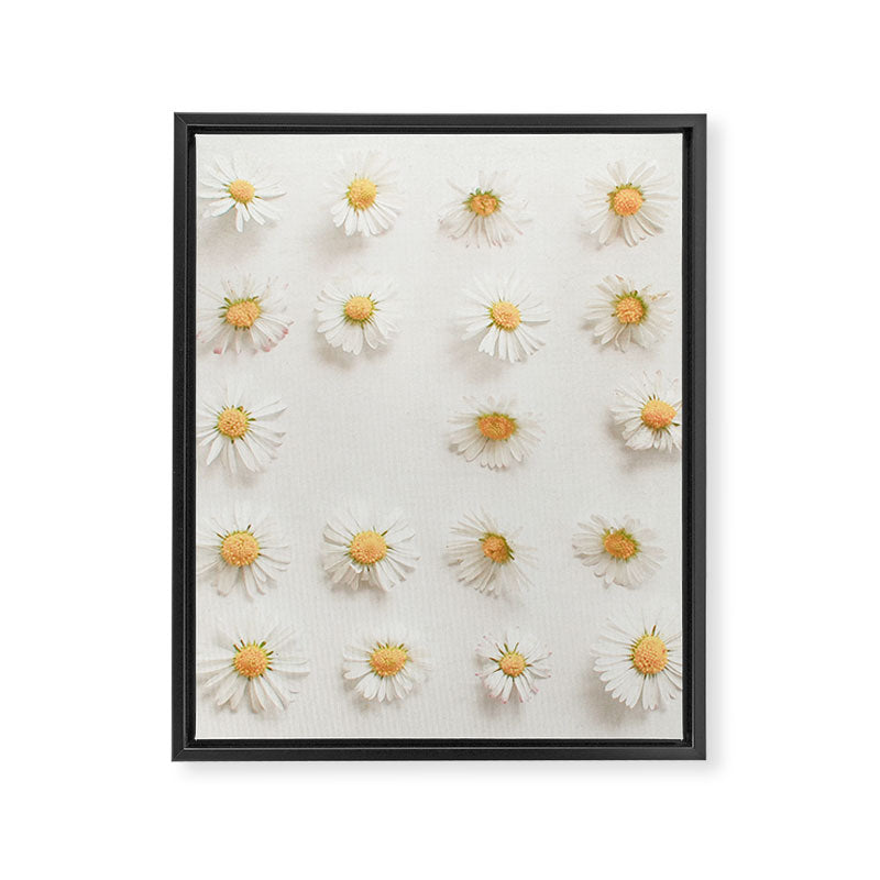 Daisy Collection Framed Canvas Print Gallery Image 8