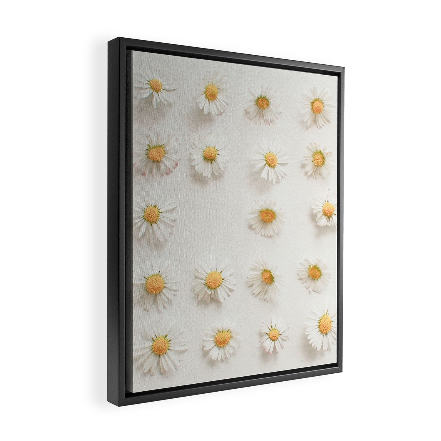 Daisy Collection Framed Canvas Print Gallery Image 2