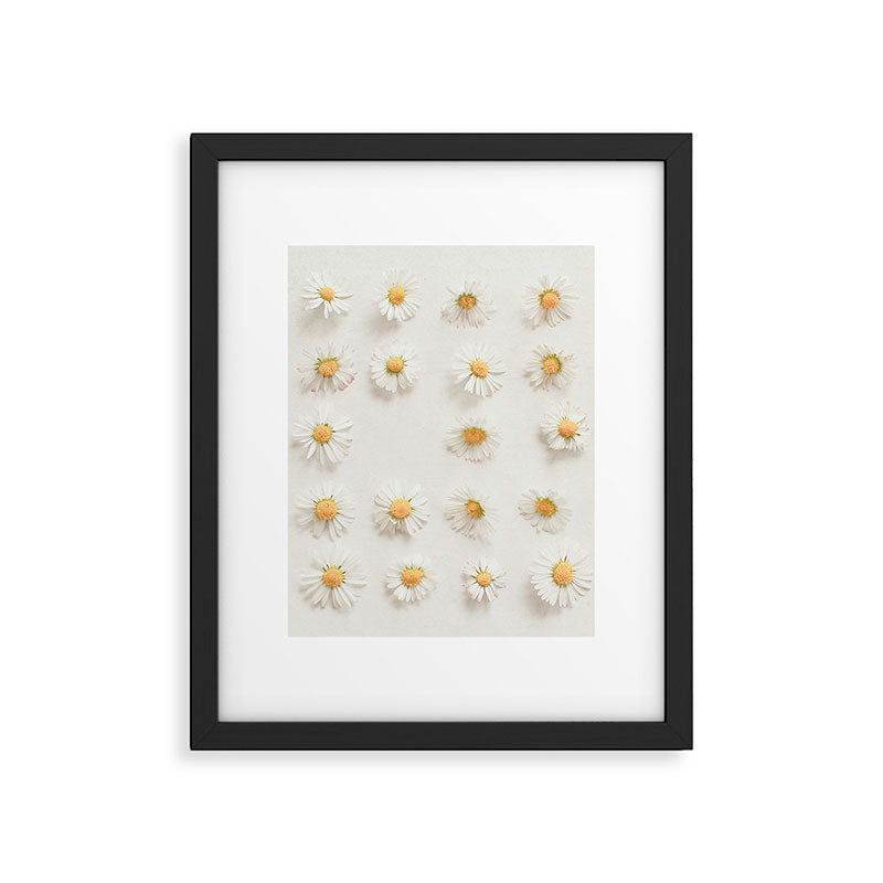 Daisy Collection Framed Art Print Gallery Image 6