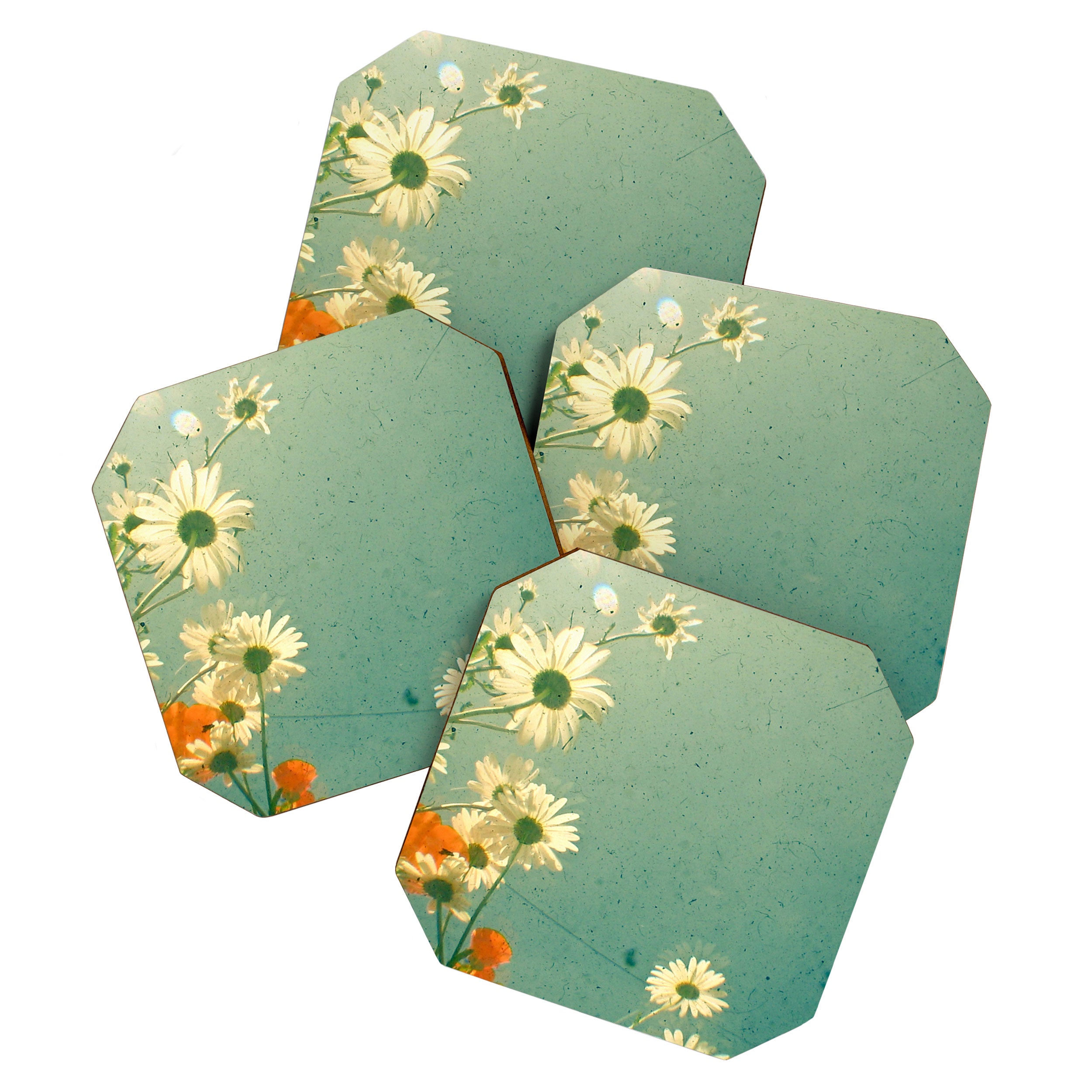 Daisy Coaster Gallery Image 1